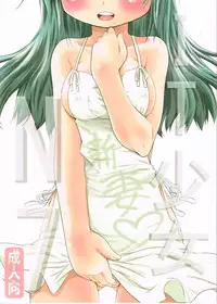 (COMIC1☆6) [FESTA (Yoshitani Motoka)] IT Shoujo N7 (Hidamari Sketch)