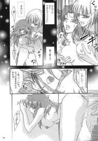 [ITALIAN RIX] Rasberry Dream (Gundam SEED)