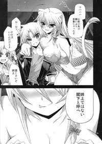 (COMIC1☆5) [FANTASY WIND (Minazuki Satoshi, Shinano Yura)] CATDAYS (DOG DAYS)