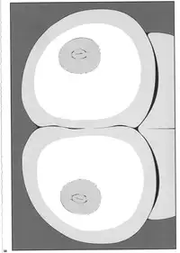 (C85)[Watosato (Sugiura Sen)] Ketsu darake touhou soushuuhen series 2 (Touhou project)