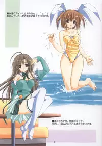 [Lili Marleen (Kinohara Hikaru)] In the cell (Ragnarok Online)