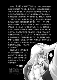 [RAT TAIL (IRIE YAMAZAKI)] 