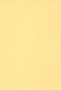 (CR28) [Bubble Company (Tenteko)] Kodomo Oukoku 8