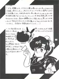 [L-Gauge Sha (Shouryuu)] WA 2 (Ranma 1/2, Bastard) [1993-10-03]