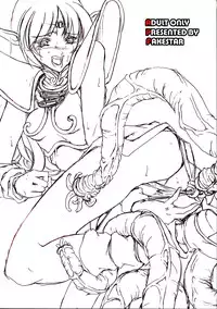 (C67) [FAKESTAR (Miharu)] D II (Record of Lodoss War)