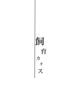 (C81) [Double Slash (Orishima Yupopo)] Shiiku Chaos (Inazuma Eleven)