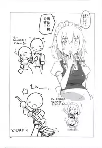 (C90) [Vitamin Gohan (Hasegawa Keita)] Matomete Tsugou ga Ii! (Touhou Project)