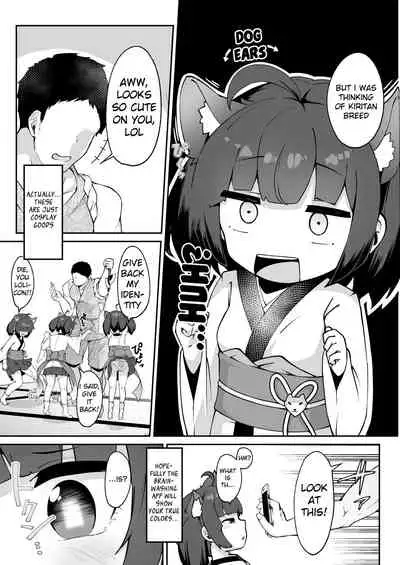 Kiritan no Tadashii Shitsuke-kata. | How to Train Your Kiritan