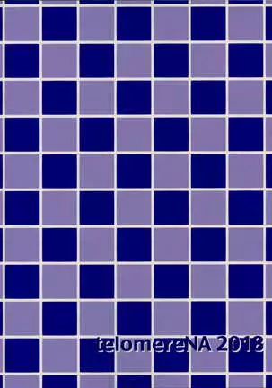 Koyoi Gohoushi ni Mairimasu | 今宵我来侍奉你