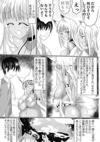 TSF shita Hitozuma ga NTR tte Dorei Ochi Suru Hon