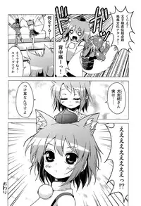 (Reitaisai 9) [Tsukiyomi (Porurin)] ShinreibyouVSTengu (Touhou Project)