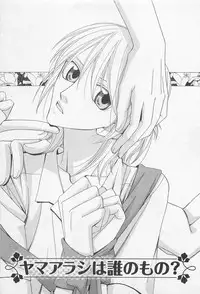 [Hashiba Noriko] Yamaarashi no Yuuwaku