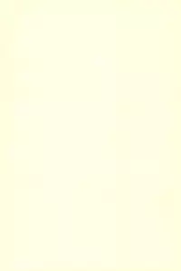 (Puniket 22) [Ware PON! (KONKON)] Kyouran Pair Diary (Kyouran Kazoku Nikki)