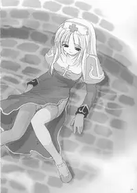 (C64) [Digital Lover (Nakajima Yuka)] D.L. action 18 (Ragnarok Online)