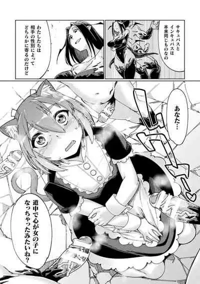 Chakugai Chijoku - Armoraped