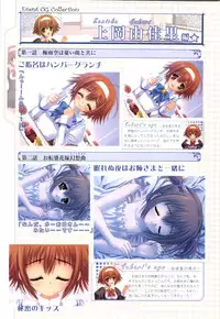 Otome wa boku ni koi shiteru Visual Fanbook (Otoboku)