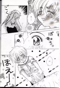 [Abe Ryu] [2000 Summer] Wolf and Cherry