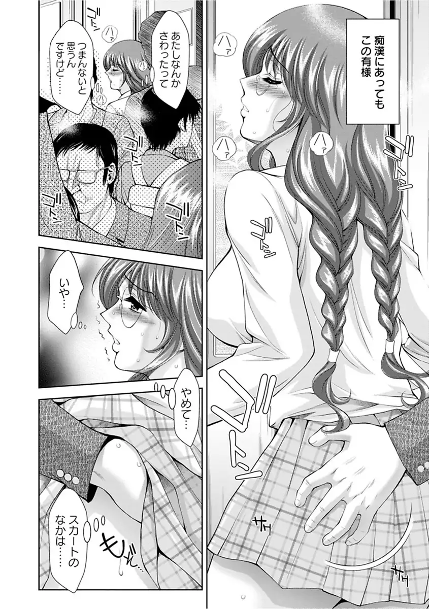 Bi Maso Festa - Maguwai no Mesu Niku