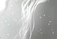 (MakiMaki 7) [Charm (Toshi Hiroshi)] SANCTUARY (Rosen Maiden)