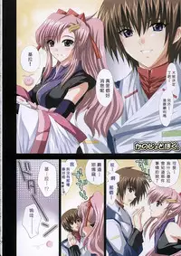 (C68) [FANTASY WIND (Shinano Yura)] satisfy (Gundam SEED DESTINY) [Chinese]