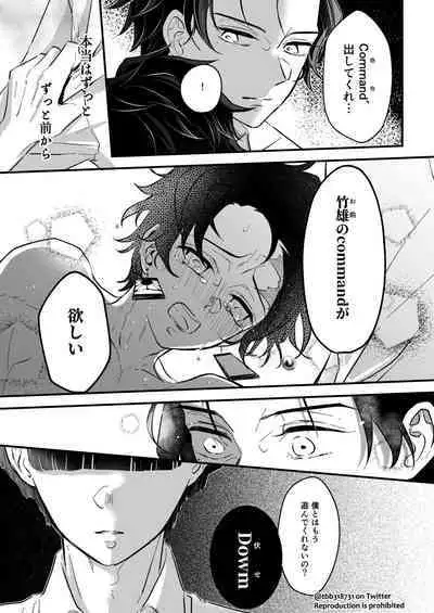 TakeTan Tamasudare ④