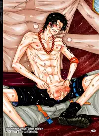 [Hariko no Tora (Midoh Torako)] SHUIN (One Piece) [Digital]