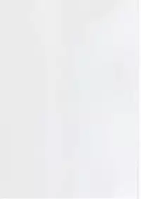 (C72) [M (Amano Ameno)] MIO OMEGA SLAVE (BLUE DRAGON)