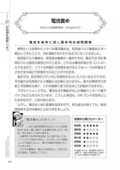 Zero kara Hajimeru SM Manual Kawaii Dorei Shiikujutsu