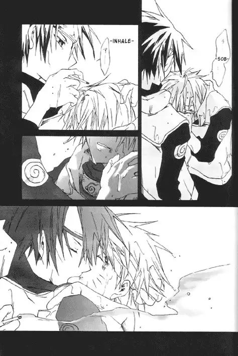 Gold Feather Silver Body