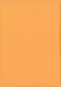 [Noraneko Nagaya] Horoama Omocha Hako