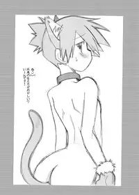 [Ukkaridou (Shimazu Isami)] Ukkaridou Kasumi Illust Copy Bon Soushuuhen (Pokemon)