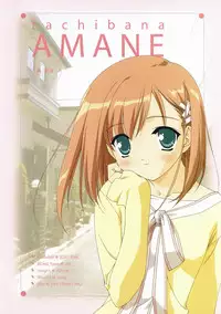 Canvas Visual Fan Book