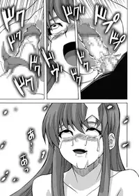 [Shinyanchi] Follower (Gundam Seed Destiny)