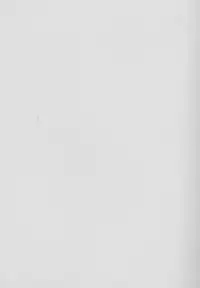 (c63) [Nekoya Kaigetsudou] Rough vol. 19 (Digimon)