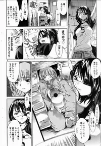 COMIC DOLPHIN 2004-06