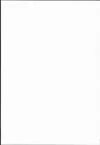 (C85) [RUBBISH Selecting Squad (Namonashi)] RE 19 (Fate/stay night)