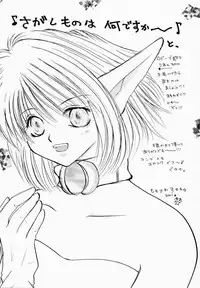 (CR29) [KNIFE EDGE (Saki Urara)] Gensou Gikyoku Koukairoku (Phantasy Star Online)