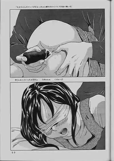 (C54) [Momonga Club (Hayashibara Hikari)] Momo-chan G-nensei