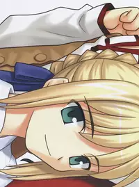 Fate/stay night Premium FanBook