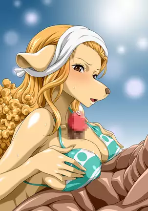 Nel-Zel Formula Yuthirasuru