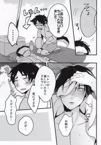 (C86) [Iden (Yukinko)] Haigo ni Gochuui (Shingeki no Kyojin)