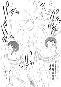 (C55) [Comic Kingdom (Oyama Kumotsuru)] [Lain] Kan'nou Monogatari (Serial Experiments Lain)