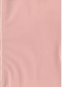 (C87) [Kotau (bowieknife)] GyanFumi Try (Gundam Build Fighters Try)