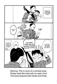 (THE GATHERING DAY2) [Yabure Kabure (Agemon)] Silly lover (Fullmetal Alchemist) [English] {Shotachan}