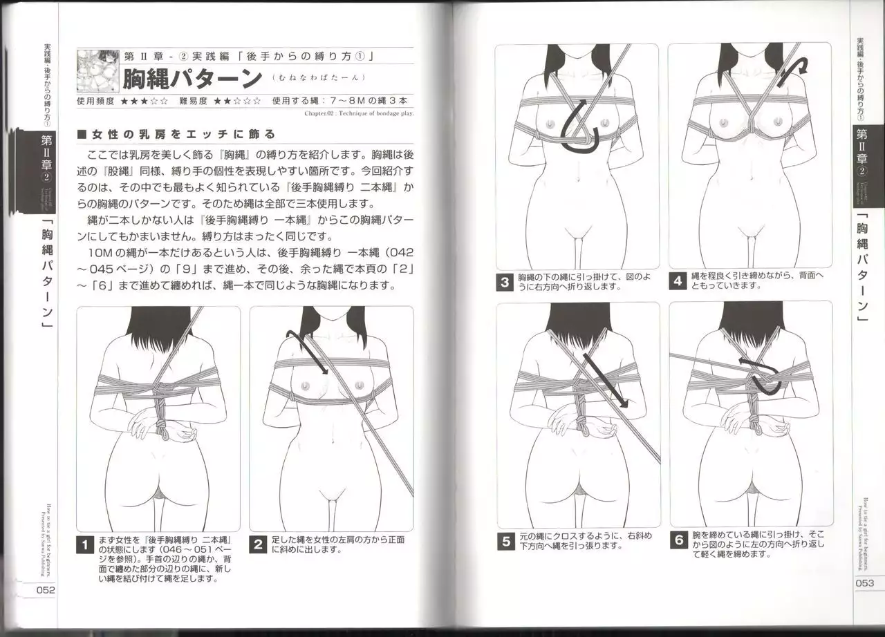 Now you can do it! Illustrated Tied How to Manual