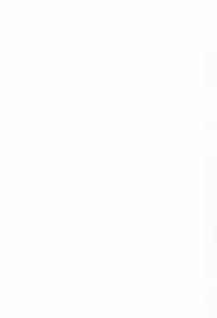 (COMIC1☆8) [Take Out (Zeros)] Aila Reiji to Sex Shitainen (Gundam Build Fighters)