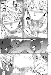 (C78) [Crazy9 (Ichitaka)] SEXAROID (Durarara!!)