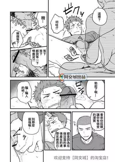 Shiri wa Zettai Muridatte!!