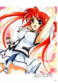 (ComiComi11) [PLUM (Kanna)] Mahou Shoujo Magical SEED DESTINY (Mahou Shoujo Lyrical Nanoha)