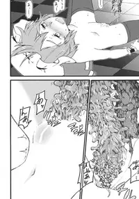 (Reitaisai 9) [Makizume Koubou (Turnnail)] Waratte Oneechan (Touhou Project)